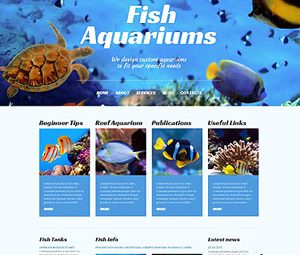 Thiết kế website bán cá cảnh