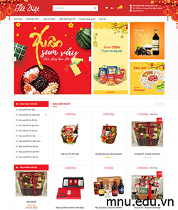 Thiết kế website bán quà tết