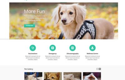 Thiết kế website bán thú cưng