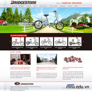 Thiết kế website bán xe đạp điện