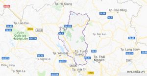 Thiết kế website tại Tuyên Quang 