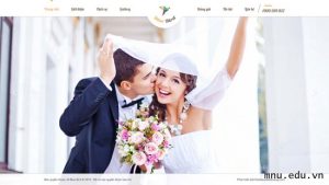 Thiết kế website ảnh viện áo cưới