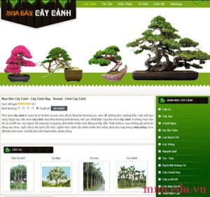 Thiết kế website bán cây cảnh