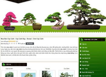 Thiết kế website bán cây cảnh
