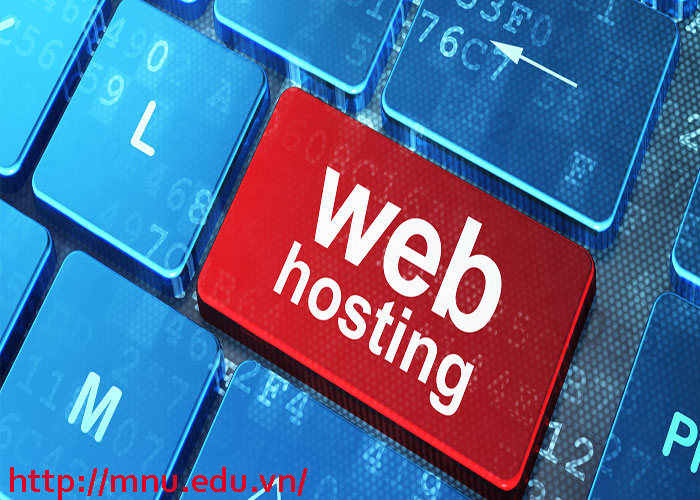 hosting là gì web