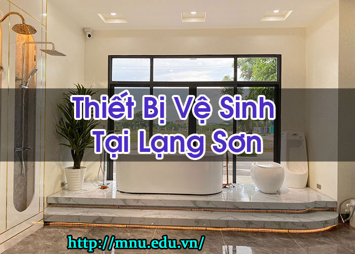 Thiết Bị Vệ Sinh Tại Lạng Sơn