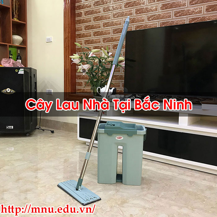 Cây Lau Nhà Tại Bắc Ninh